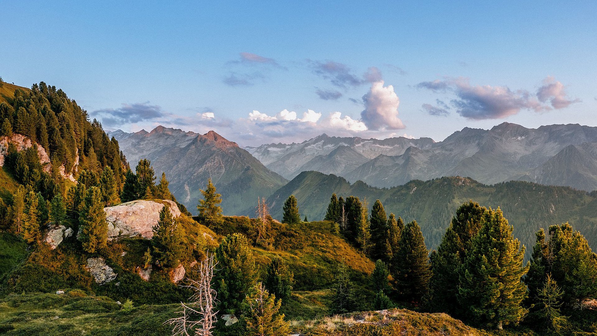 Familienhotel: Österreich im Sommer erleben Berglandschaft mit Bergen, Tannen und blauem Himmel bei Sonnenuntergang