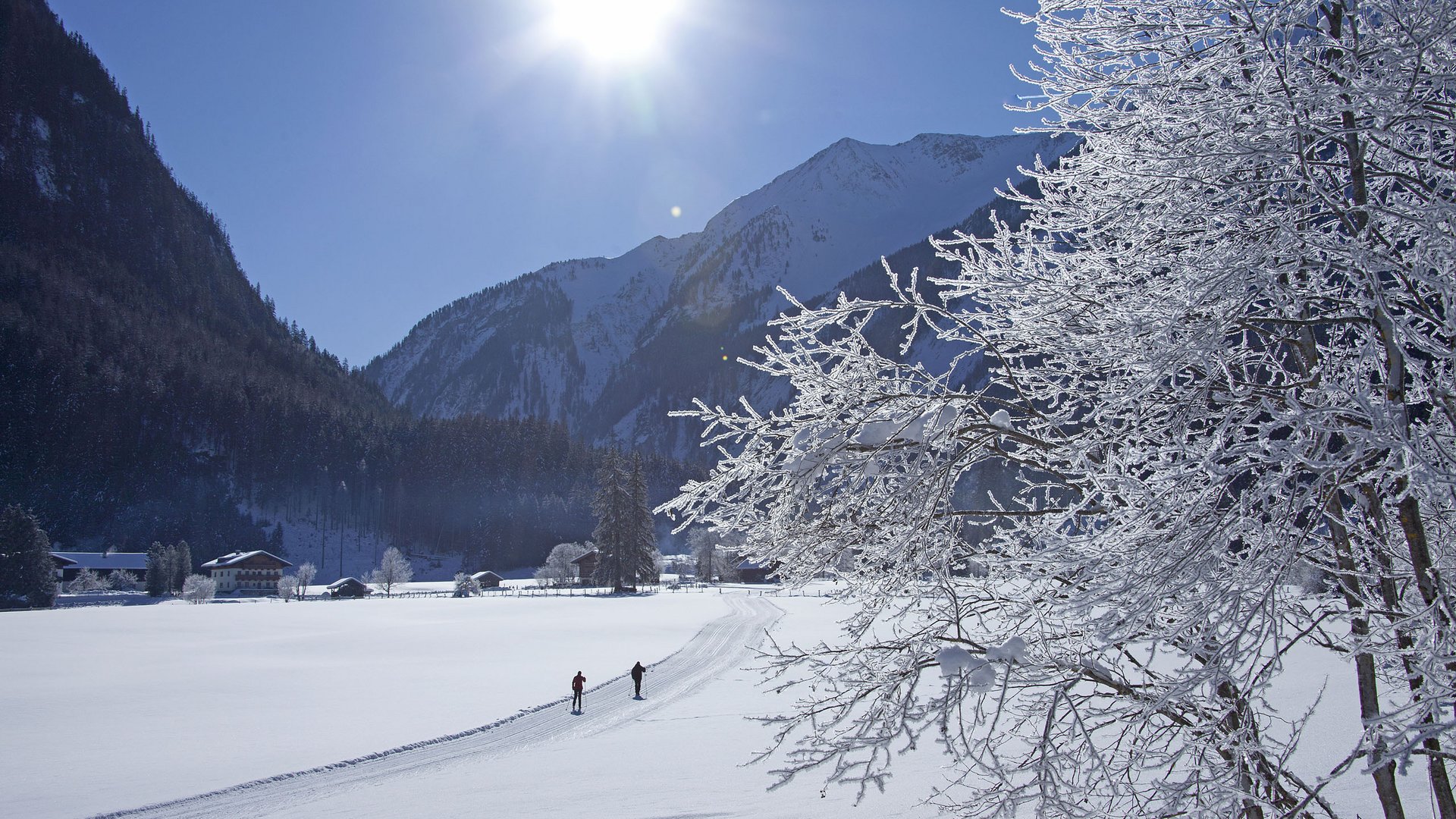 Langlaufurlaub Österreich: Smaragdhotel Tauernblick Zwei Langläufer auf verschneiter Loipe vor Bergen und frostigen Bäumen im Sonnenschein