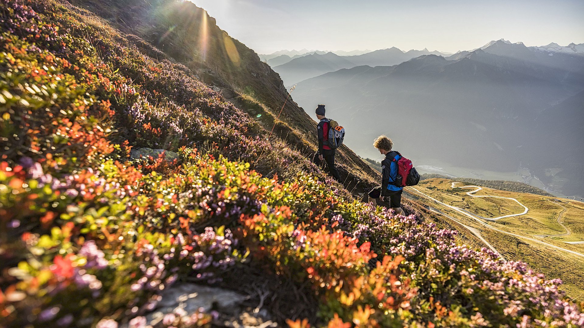 Familienhotel: Österreich im Sommer erleben Zwei Wanderer mit Rucksäcken auf einem blumenbedeckten Bergweg bei Sonnenlicht