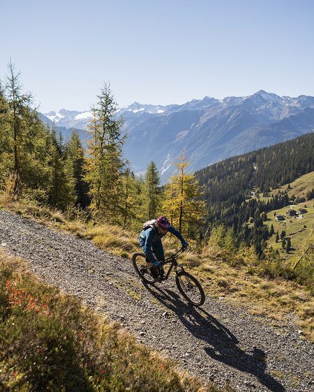 Familienhotel Salzburgerland: 4-Sterne-Inklusivleistungen Mountainbiker fährt auf Bergweg umgeben von Bäumen und Alpen im Hintergrund