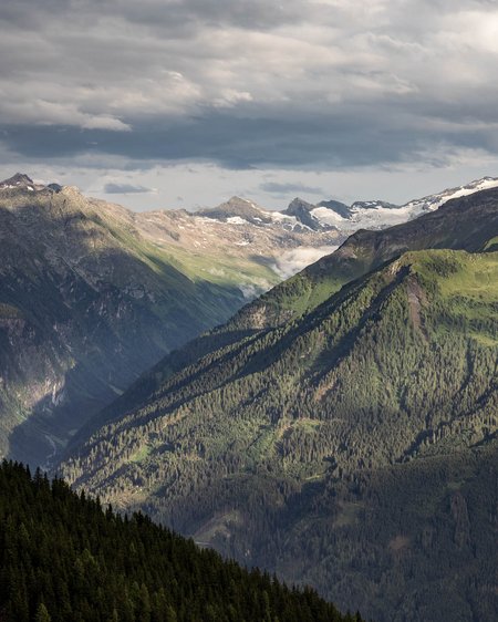 Mit Christoph ins Revier: Wildbeobachtung zwischen 1.600 und 2.000 Metern im Nationalpark Hohe Tauern. Hirsch, Gams, Murmeltiere und im Herbst die Hirschbrunft. Blick auf bewaldete Berghänge und schneebedeckte Gipfel unter Wolken