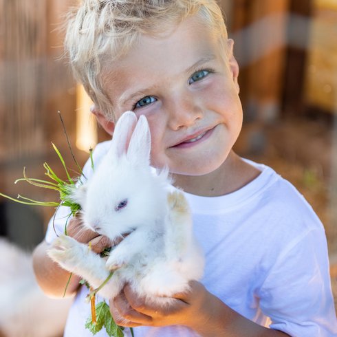 Erlebnis und Natur-Romantik im Hotel im Salzburgerland Junge hält ein weißes Kaninchen im Freien