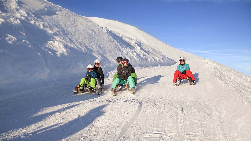 Hotel in Salzburgerland: Smaragdhotel Tauernblick Family sledding happily on snow with clear blue sky