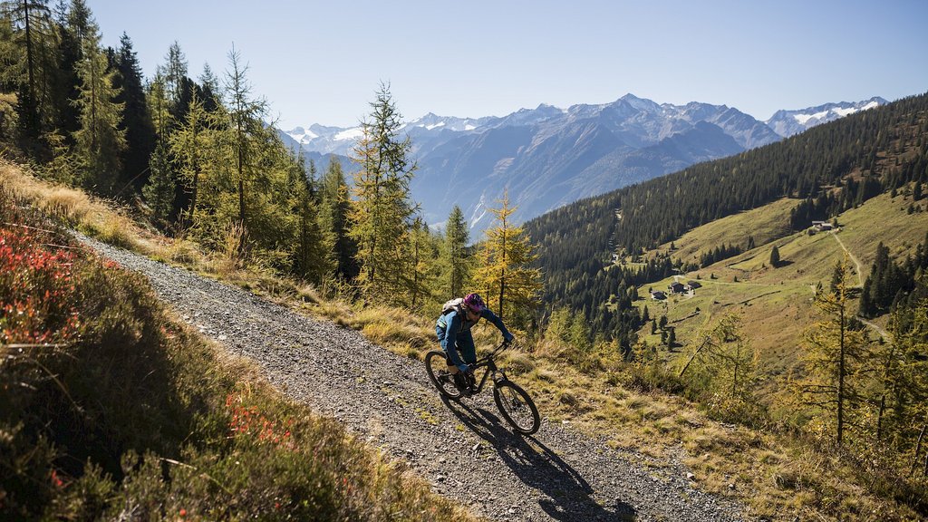 Nationalpark Hohe Tauern: Urlaub für Biker Mountainbiker auf steinigem Pfad in den Alpen bei sonnigem Wetter
