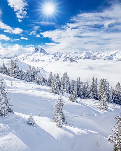 Salzburgerland: Winter im Smaragdhotel Tauernblick Schneebedeckte Berge und Tannen unter strahlend blauem Himmel mit Sonne