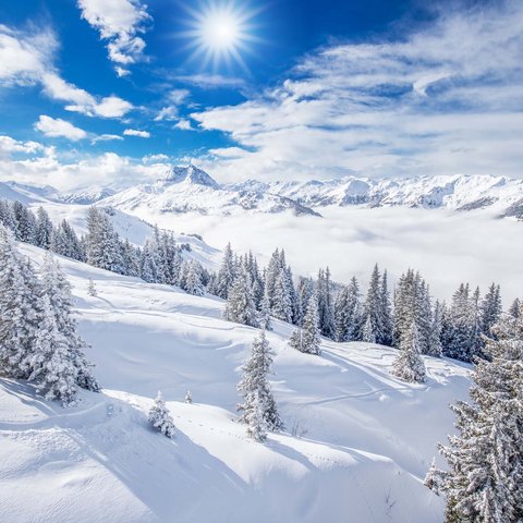 Erlebnis und Natur-Romantik im Hotel im Salzburgerland Schneebedeckte Berge und Tannen unter strahlend blauem Himmel mit Sonne