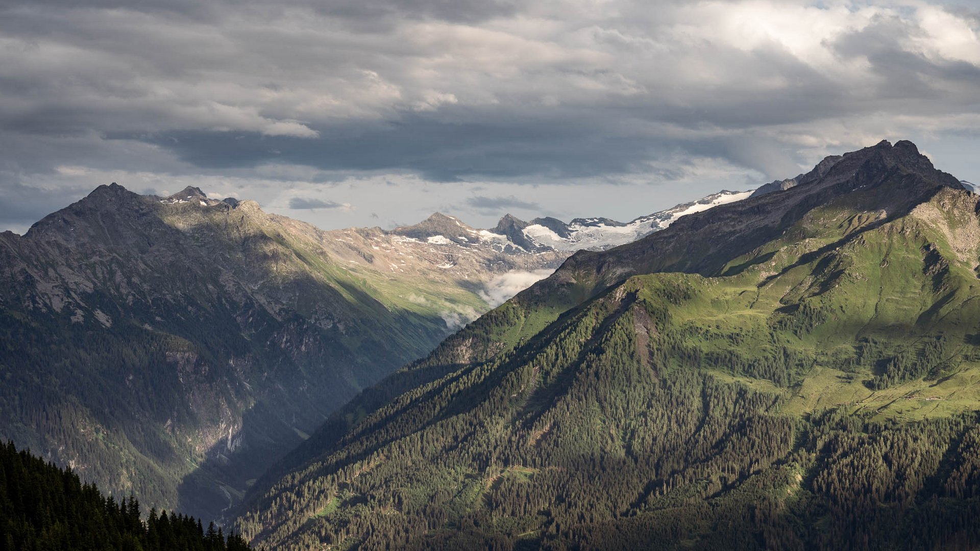 Mit Christoph ins Revier: Wildbeobachtung zwischen 1.600 und 2.000 Metern im Nationalpark Hohe Tauern. Hirsch, Gams, Murmeltiere und im Herbst die Hirschbrunft. Bergpanorama mit bewaldeten Hängen, schroffen Gipfeln und Wolkenhimmel