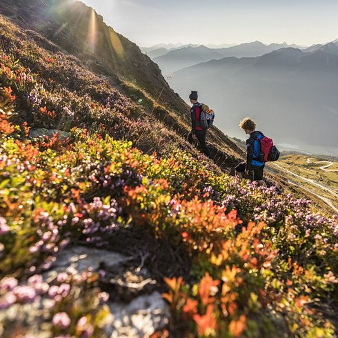 Urlaub im Salzburgerland: Hotel anfragen Zwei Wanderer steigen im Sonnenlicht einen blumenbedeckten Berghang hinauf mit Bergpanorama