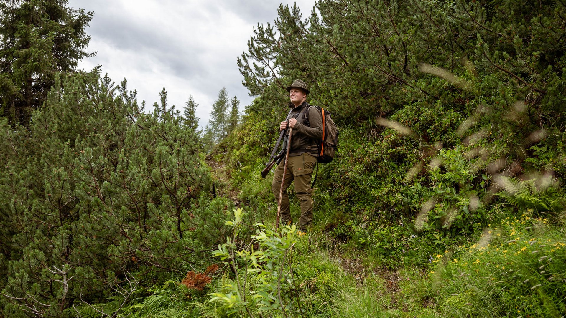 Join Christoph for wildlife watching between 1,600 and 2,000 metres in the Hohe Tauern National Park. Red deer, chamois, marmots and the autumn rut. Hiker with backpack and walking stick in a dense coniferous forest