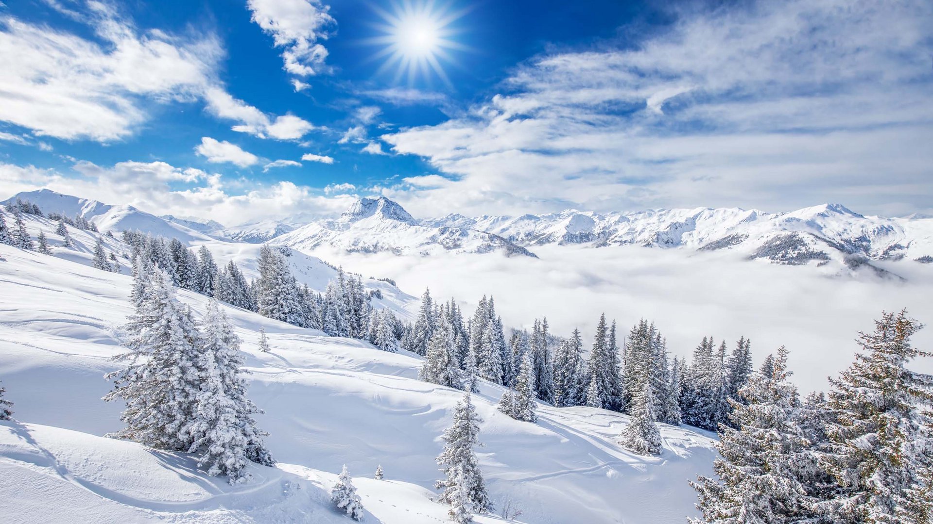 Bramberg am Wildkogel: Ausflugsziele Winterlandschaft mit verschneiten Tannen und Bergen unter sonnigem Himmel