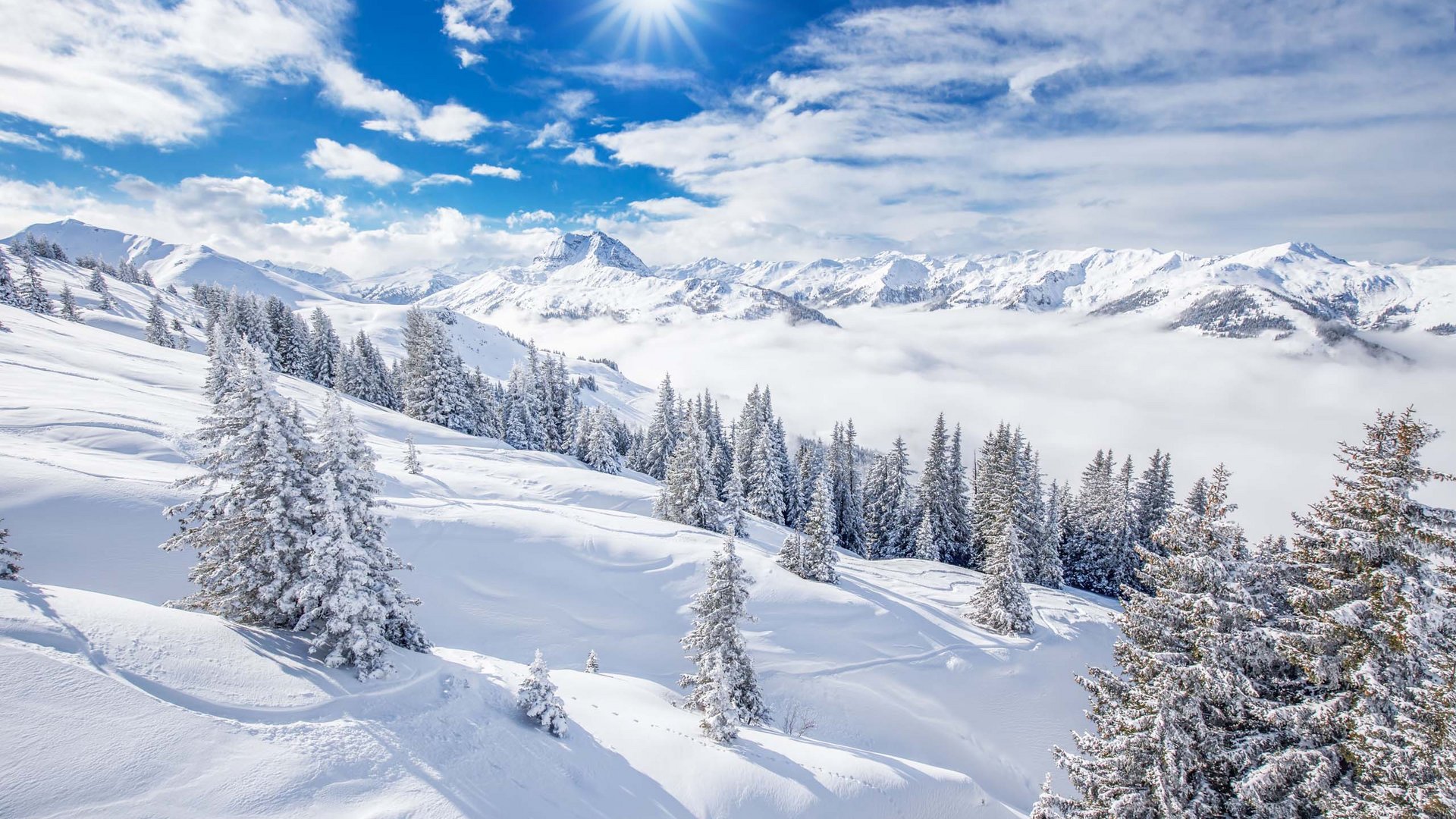Hotel in Bramberg: Smaragdhotel Tauernblick Winterlandschaft mit verschneiten Tannen und Bergen unter sonnigem Himmel