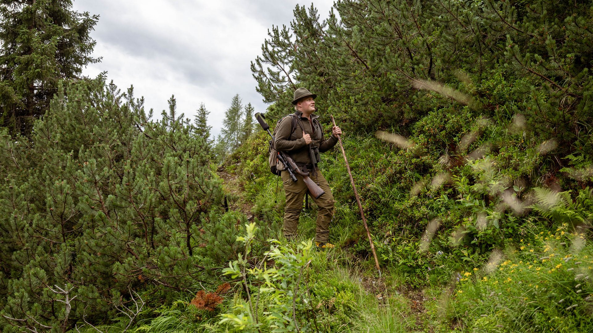 Mit Christoph ins Revier: Wildbeobachtung zwischen 1.600 und 2.000 Metern im Nationalpark Hohe Tauern. Hirsch, Gams, Murmeltiere und im Herbst die Hirschbrunft. Wanderer mit Rucksack und Wanderstock in bewaldeter Berglandschaft