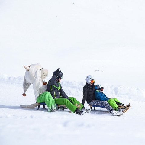 Bramberg am Wildkogel: Ausflugsziele Vier Personen rodeln einen verschneiten Hang hinunter, eine in Tierkostüm